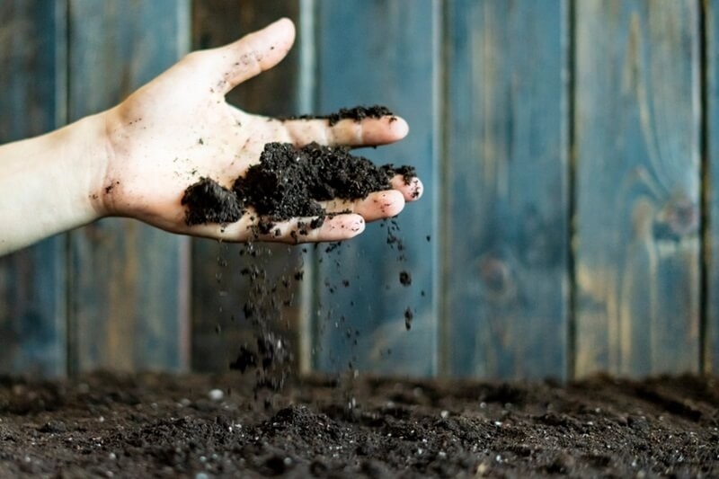 natural-way-of-soil-building