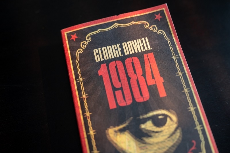 dystopian novel