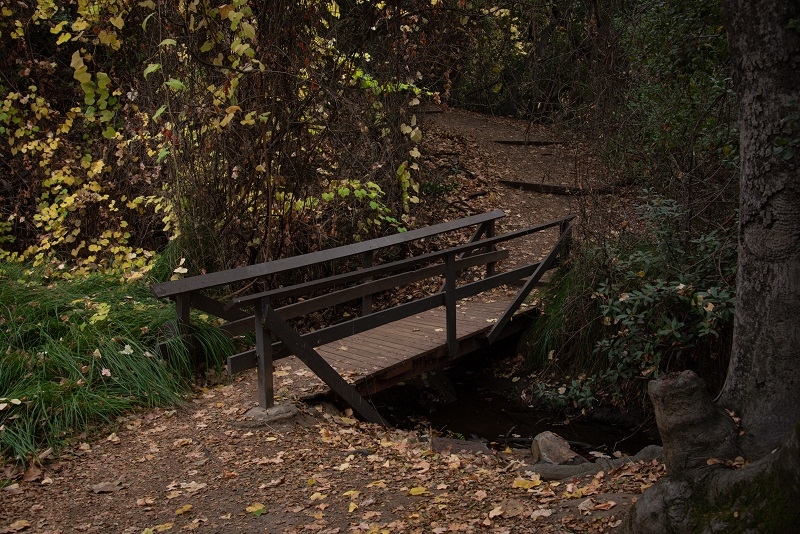Oak Canyon Trails and Nature Center