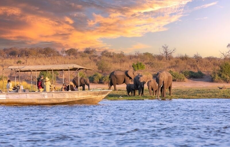 okavango-delta-safari