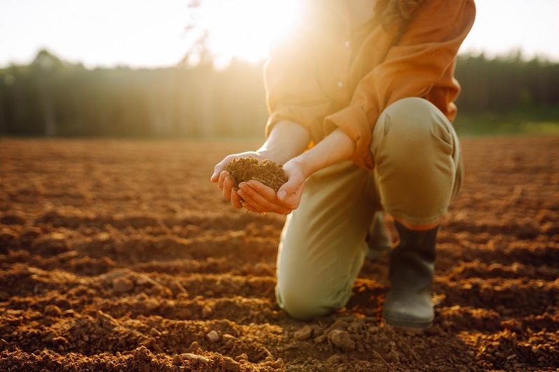 Natural Fertilizers