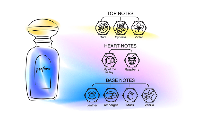 Notes explained, Longevity hacks, Niche picks, Layering scents, Sample sets