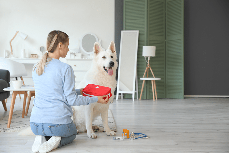 pet emergency symptoms