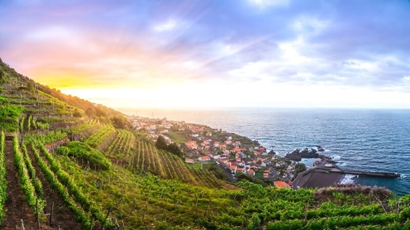 portugal-vineyards