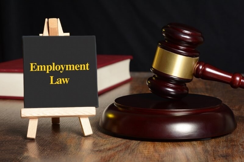 purpose-of-employment-laws