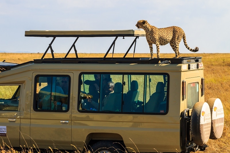 Ethical Safaris and Wildlife Tourism