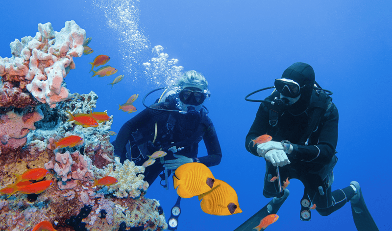best diving spots, where to scuba dive, diving certification locations, underwater diving sites, beginner diving areas