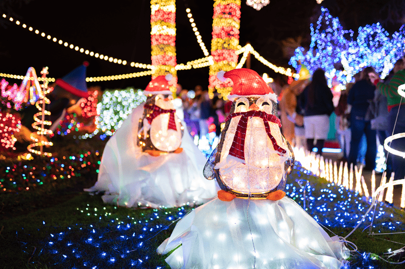 Seasonal Events in Portland