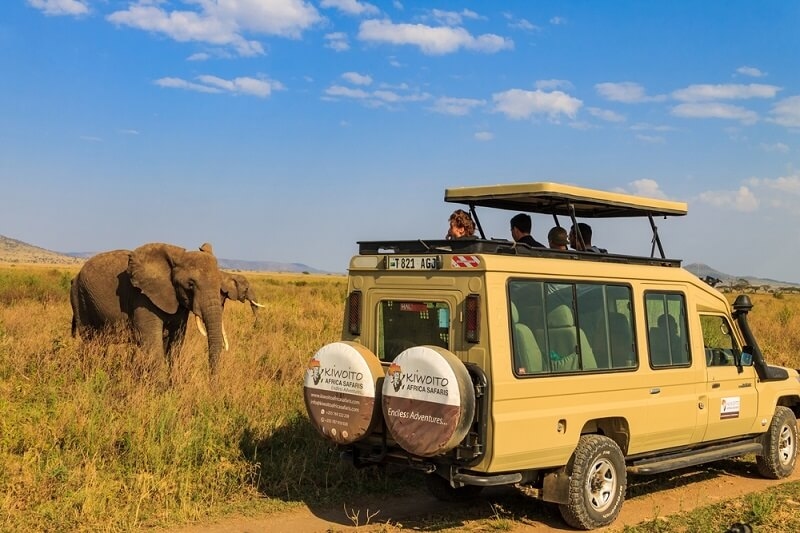 tourist on safari car watching elephant on serengeti national park