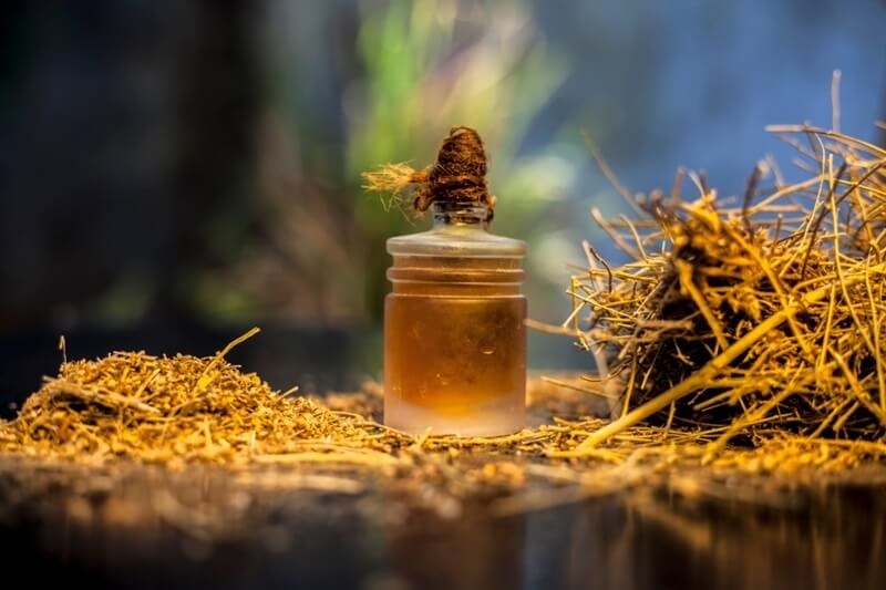 ayurvedic-memory-booster-herb
