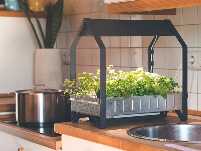 smart-indoor-garden-for-herb-and-veggie