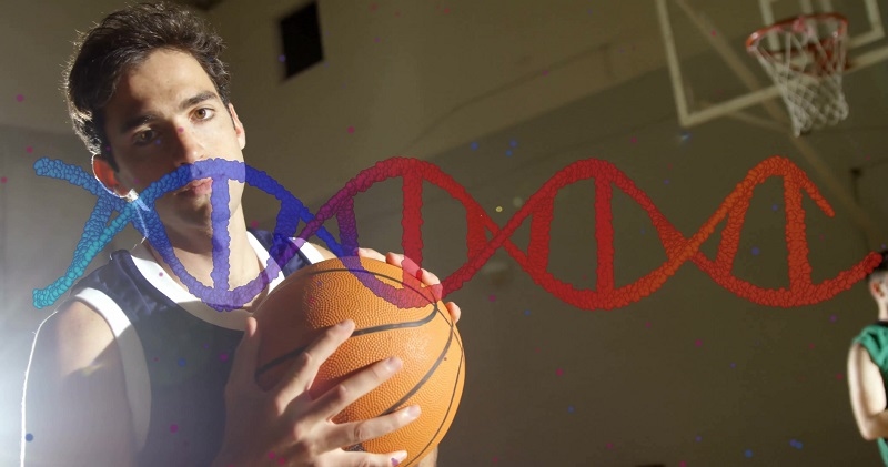 sports nutrition for basketball players
