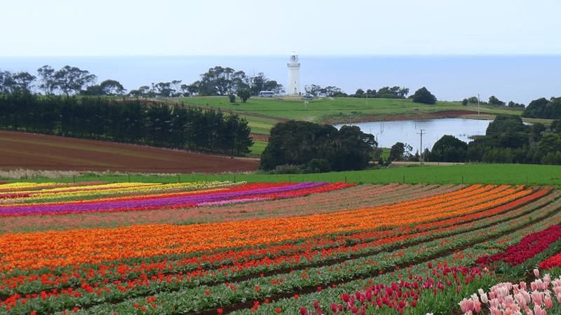 spring-celebrations-tasmania