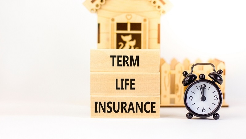 term insurance