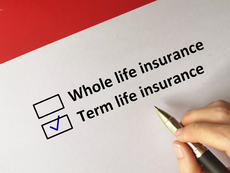 Term vs Whole Life Insurance