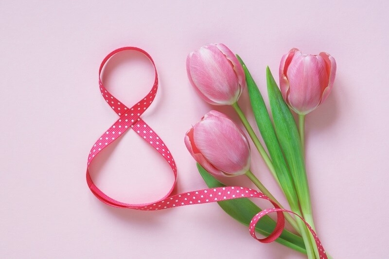pink tulip with ribbon