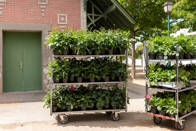 vertical-gardening-at-home