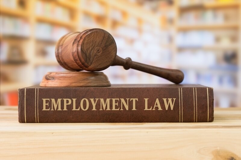 what-are-the-employment-laws