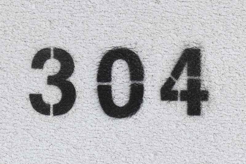How Can a 304 Status Code Save Your Crawl Budget in 2026?