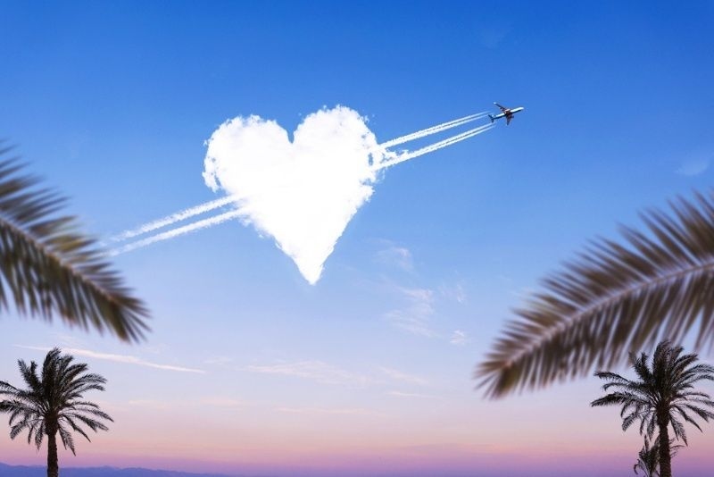 Airplane creating a heart shape in the sky with smoke trails framed by palm trees.