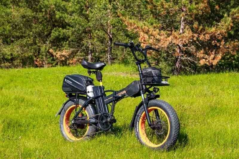 Black electric fat-tire bicycle standing on grass in a park-like outdoor setting.