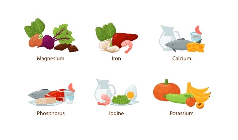 Illustration of essential minerals and their food sources, including magnesium, iron, calcium, phosphorus, iodine, and potassium.