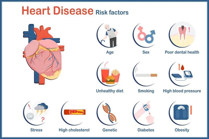 Infographic showing heart disease risk factors, including age, sex, poor dental health, unhealthy diet, smoking, high blood pressure, stress, high cholesterol, genetics, diabetes, and obesity.