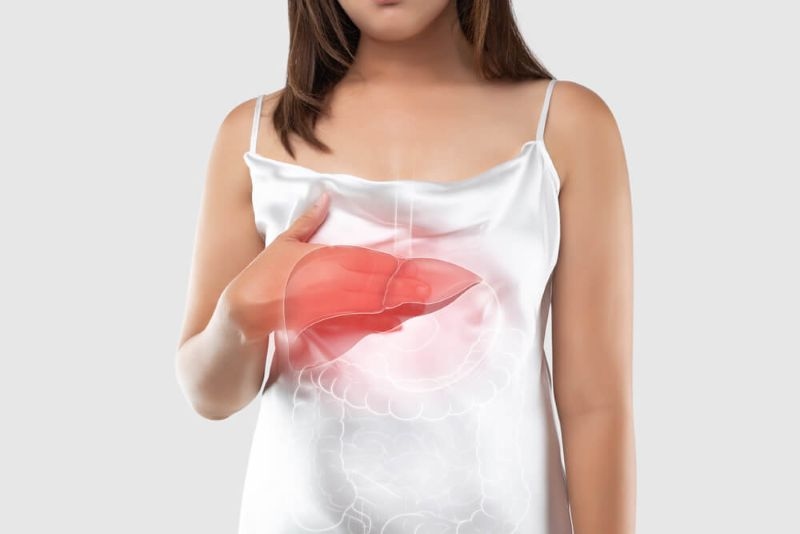 Illustration of the liver is on the woman's body