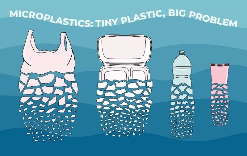 Illustration showing plastic items breaking down into microplastics with the text ‘Microplastics: Tiny Plastic, Big Problem.