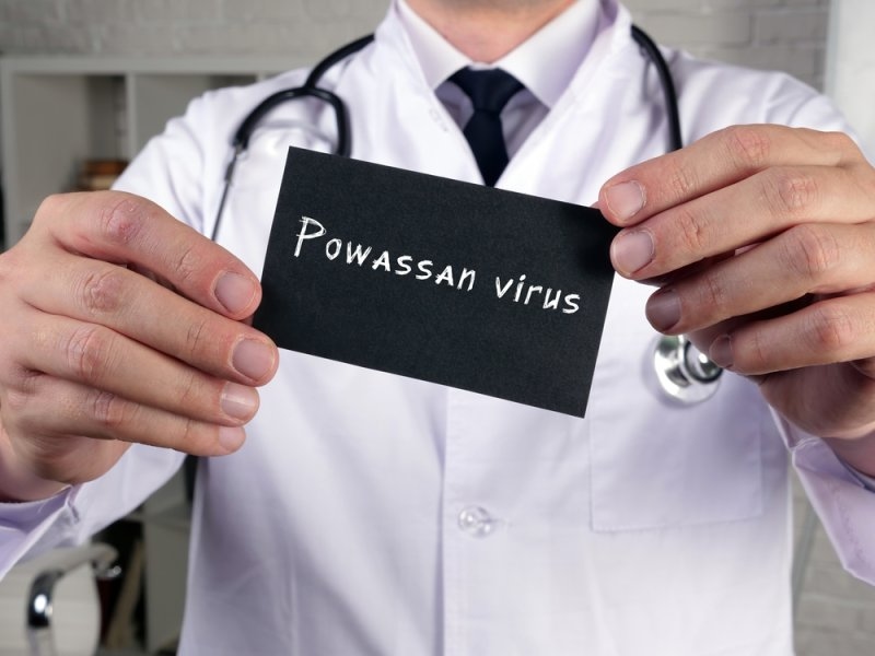 Text Powassan virus on a black paper in doctor's hand