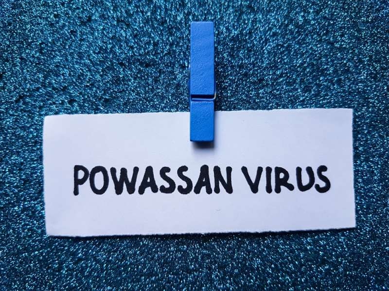 Powassan virus text on a piece of paper clipped