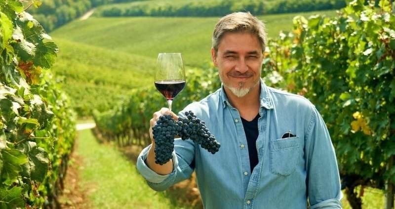 10. Vineyard owner or winemaker holding a bunch of grapes and a glass of red wine among vineyard rows.