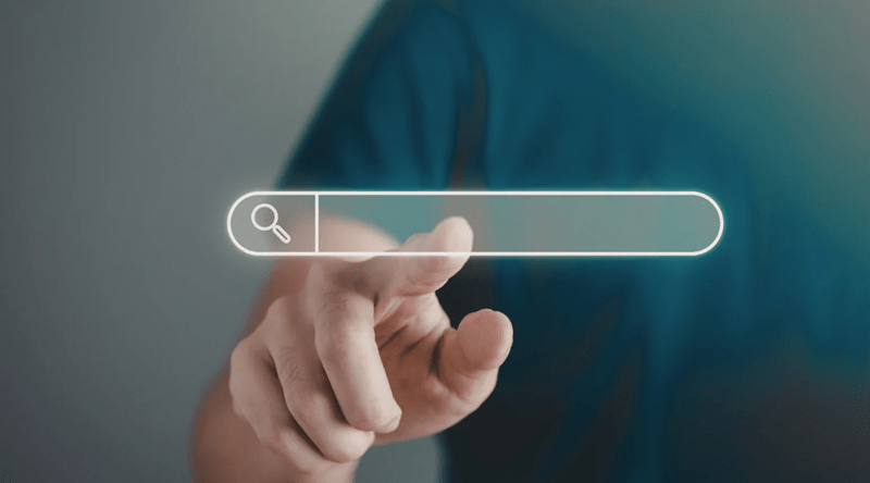 The Role of Professional Search Optimization Services