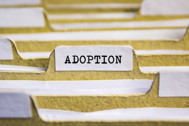 Close-up of a file folder label reading “Adoption.”