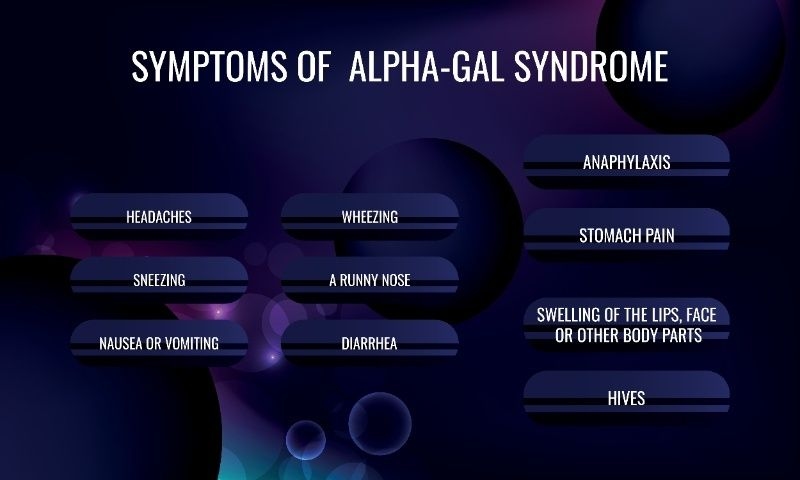 Infographic listing symptoms of alpha-gal syndrome including headaches, wheezing, stomach pain, and hives.