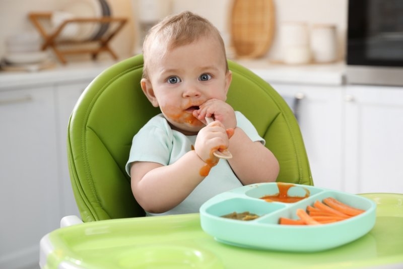 high calorie foods for infants