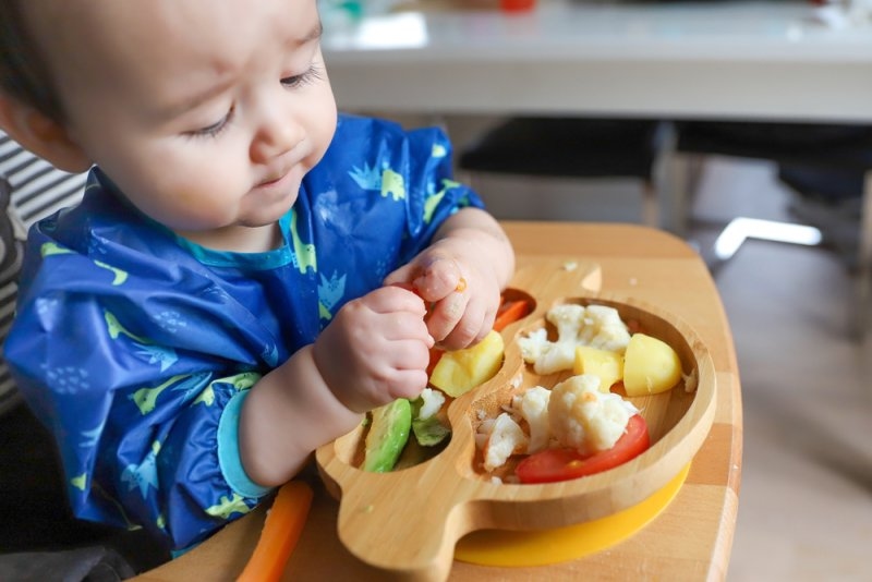 Baby boy self feeding by hands with finger food plate of mix vegetable