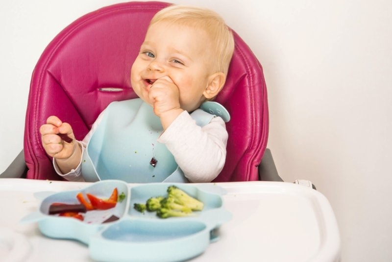 baby nutrition for brain development
