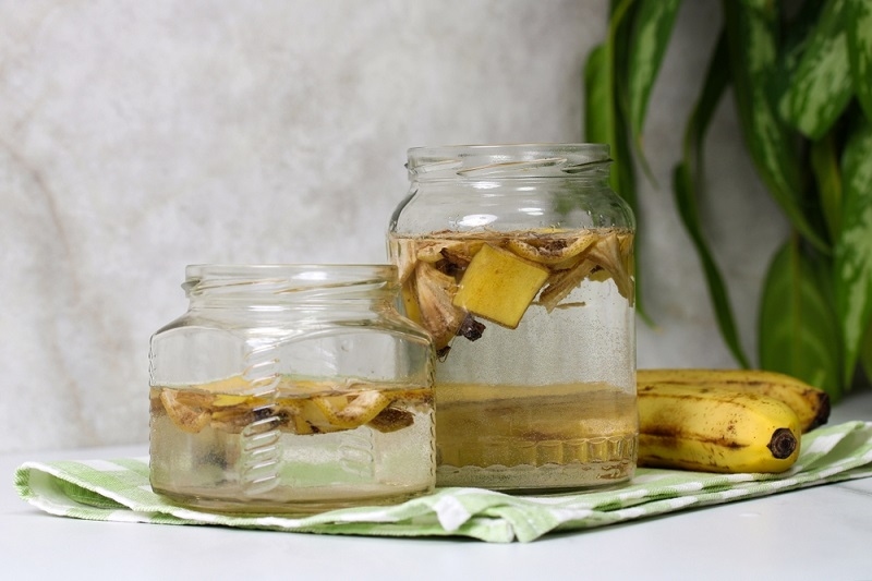 Homemade Plant Fertilizer