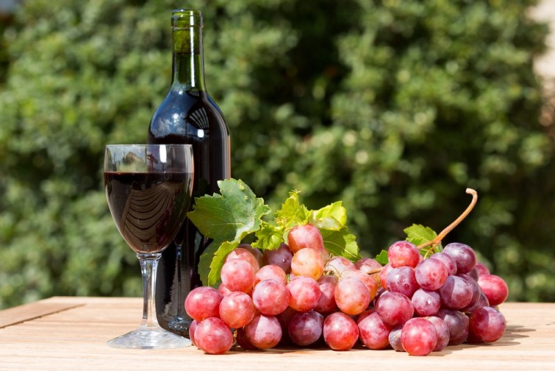 Bottle and glass of red wine with a bunch of red grapes outdoors.