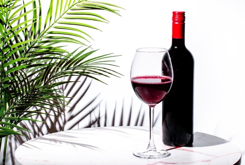 Red wine bottle and filled wine glass on a table beside a palm plant.