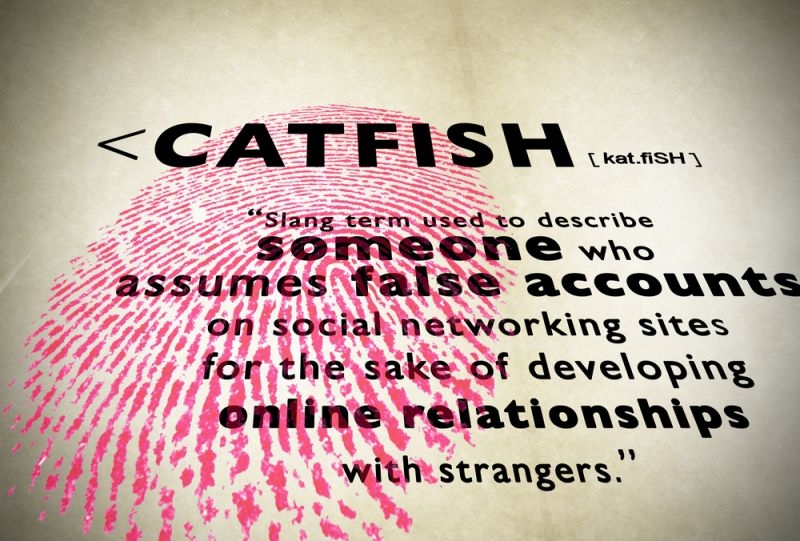 Graphic defining “Catfish” as someone who creates false social media accounts to develop online relationships with strangers.