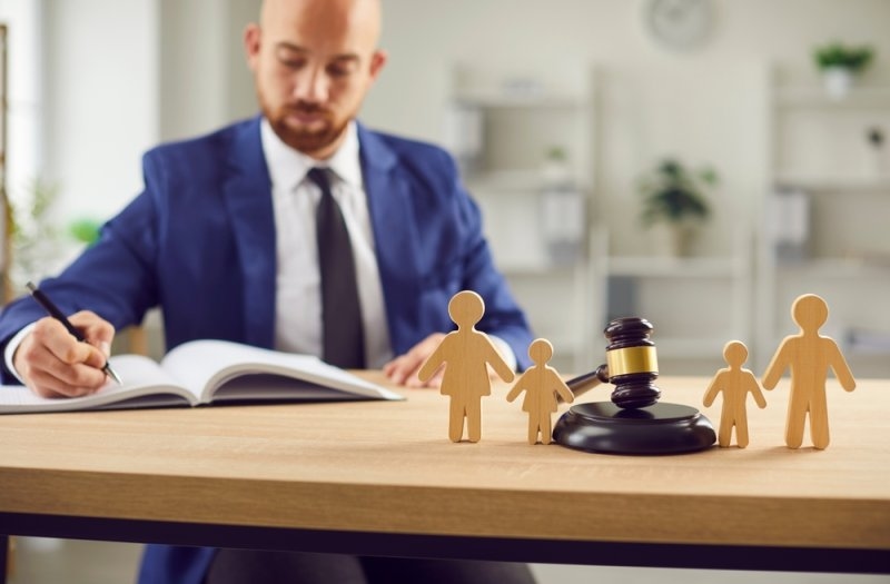 Judgement in custody matters