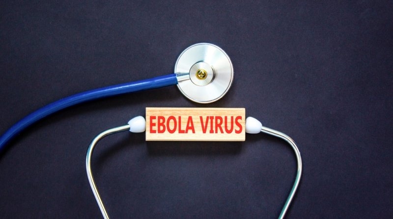 Ebola disease