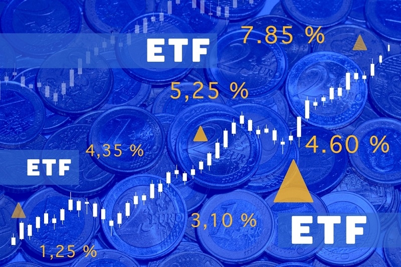  Volatility ETF Basics Every Investor Should Know First
