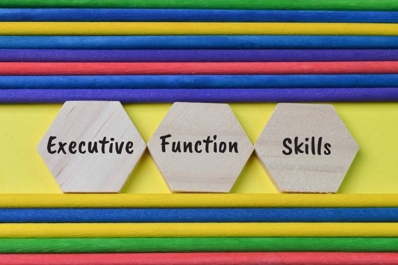 Three wooden hexagonal blocks labeled “Executive,” “Function,” and “Skills” are arranged in a row against a colorful background of horizontal wooden sticks.