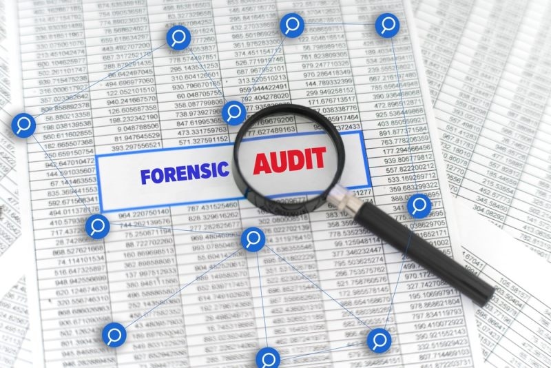 Warning signs and red flags during a financial fraud investigation