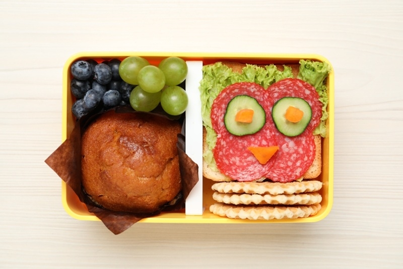 lunchbox ideas for picky eaters