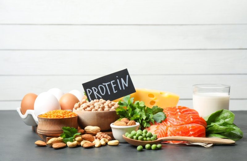 best protein rich foods