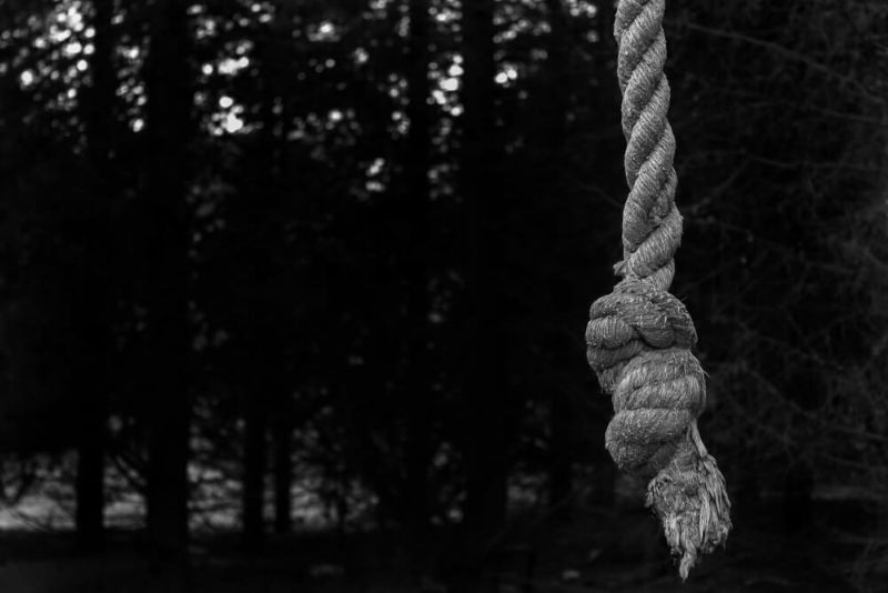 a tied knot tied in middle of a forest